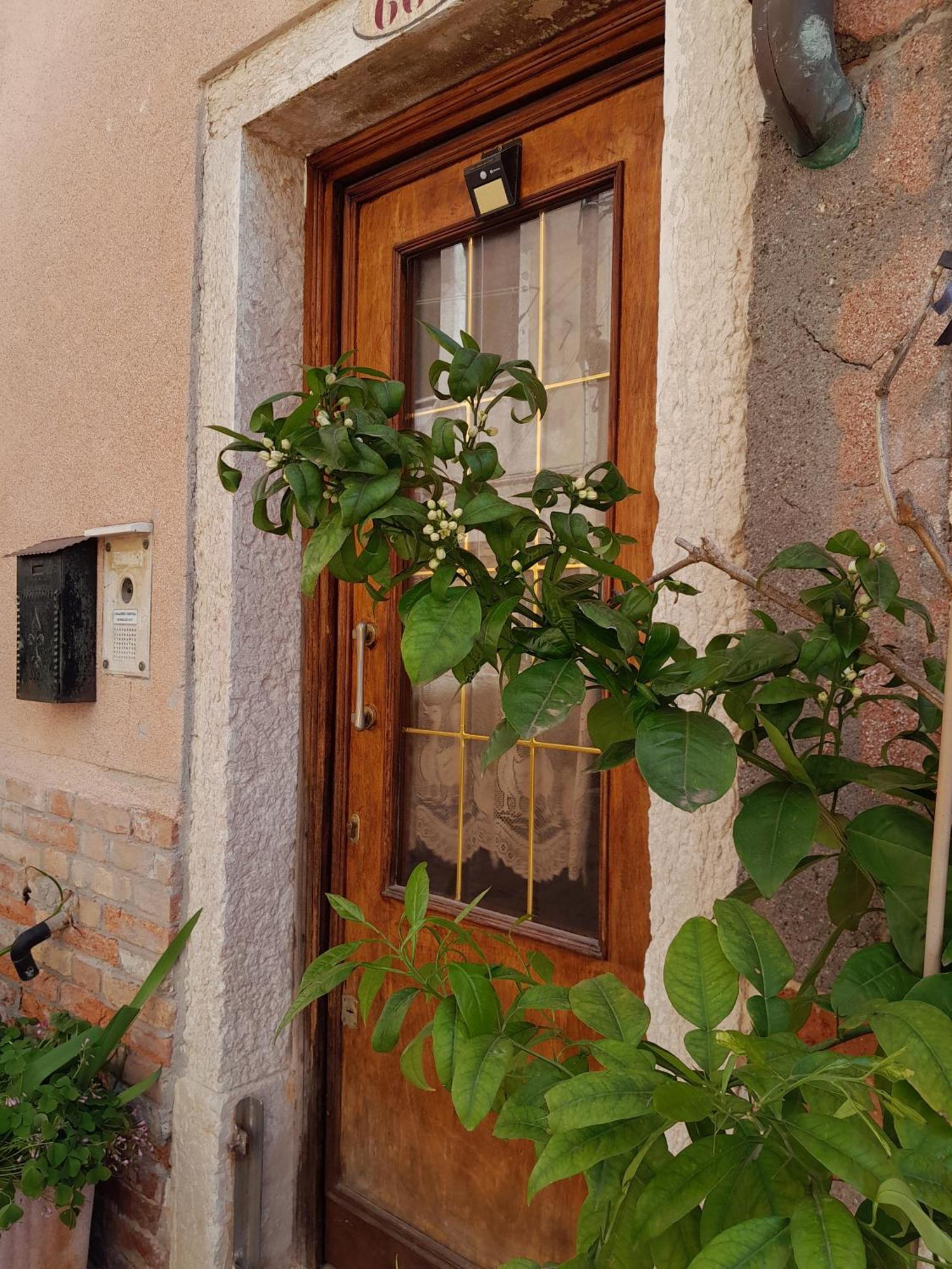 Apartamento Residenza Ca' Leon *